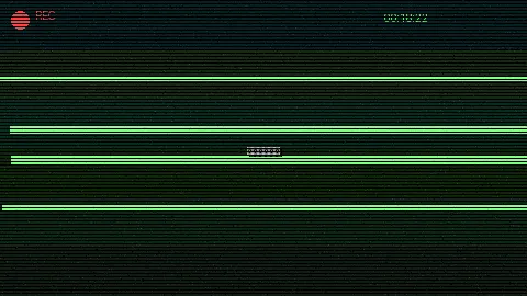 清晨公园散步 - 91网 日常记录